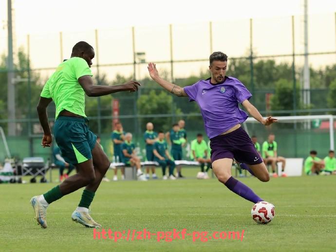 pg电子在线官网-拜仁慕尼黑在德甲拥有几支球队解析