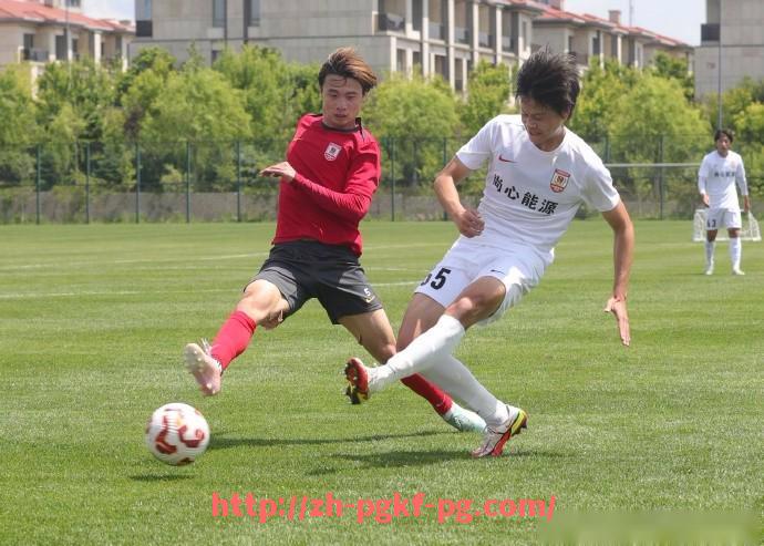 pg电子在线官网-英超联赛历史上第一次降级球队的故事与教训