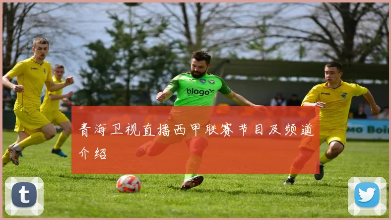青海卫视直播西甲联赛节目及频道介绍